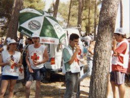 Anteriores a 1990